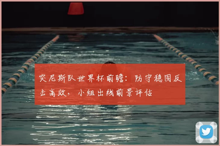 突尼斯队世界杯前瞻：防守稳固反击高效，小组出线前景评估