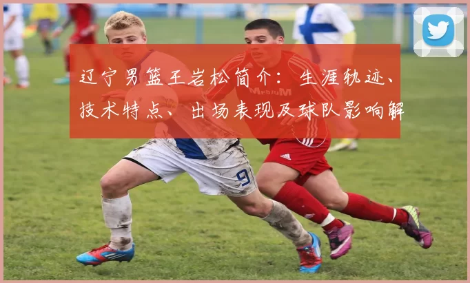 辽宁男篮王岩松简介:生涯轨迹、技术特点、出场表现及球队影响解读